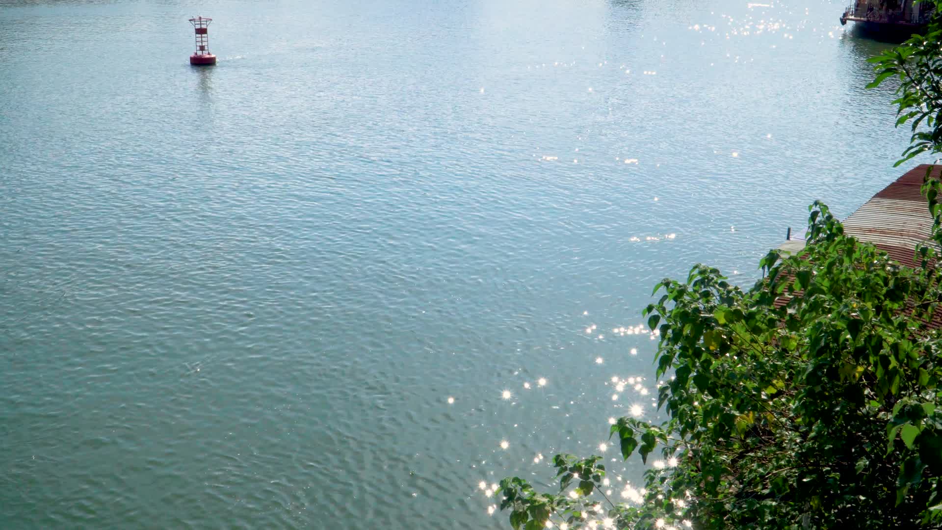 波光粼粼的江水水面实拍视频视频的预览图