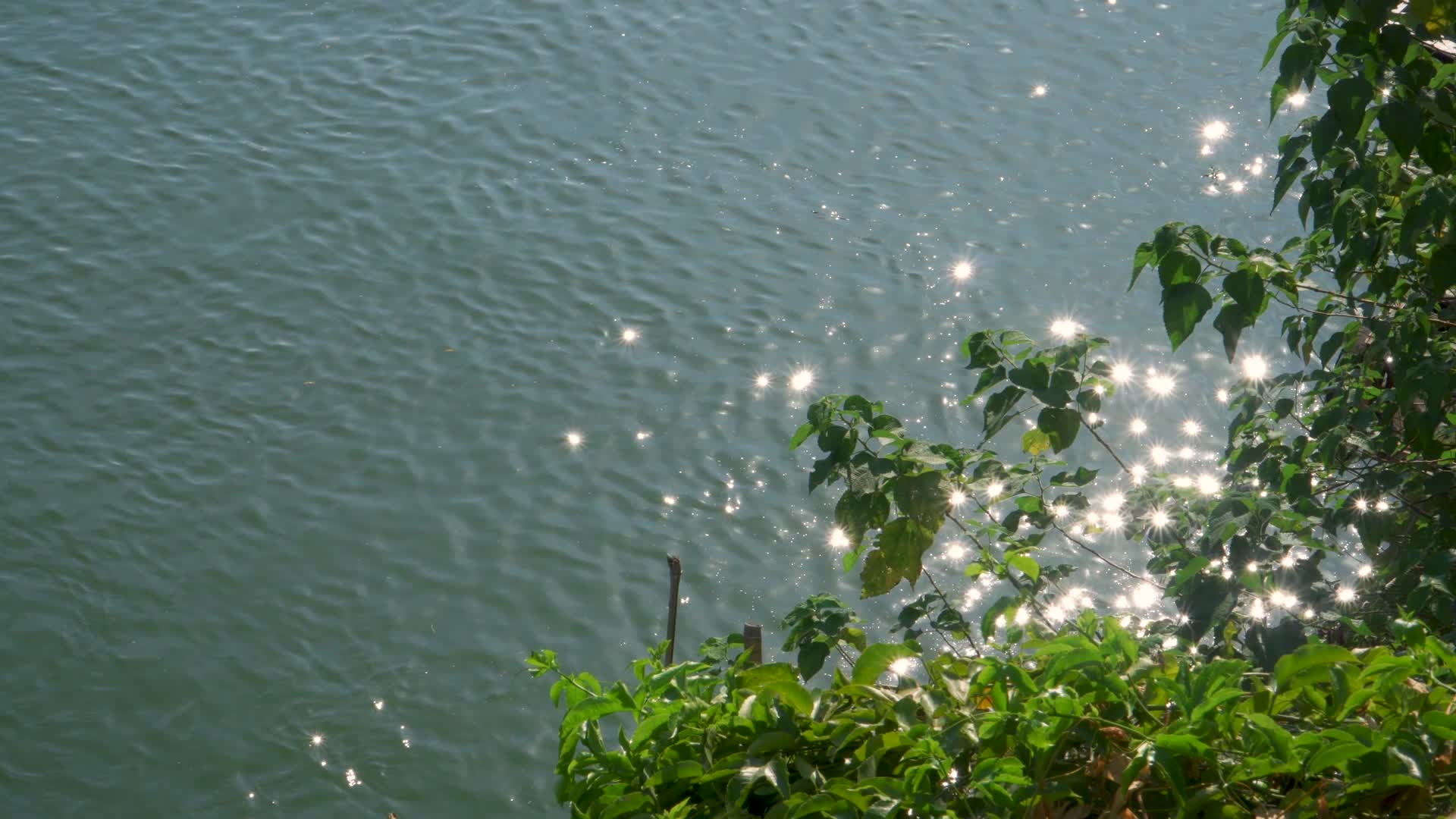波光粼粼的江水水面实拍视频视频的预览图