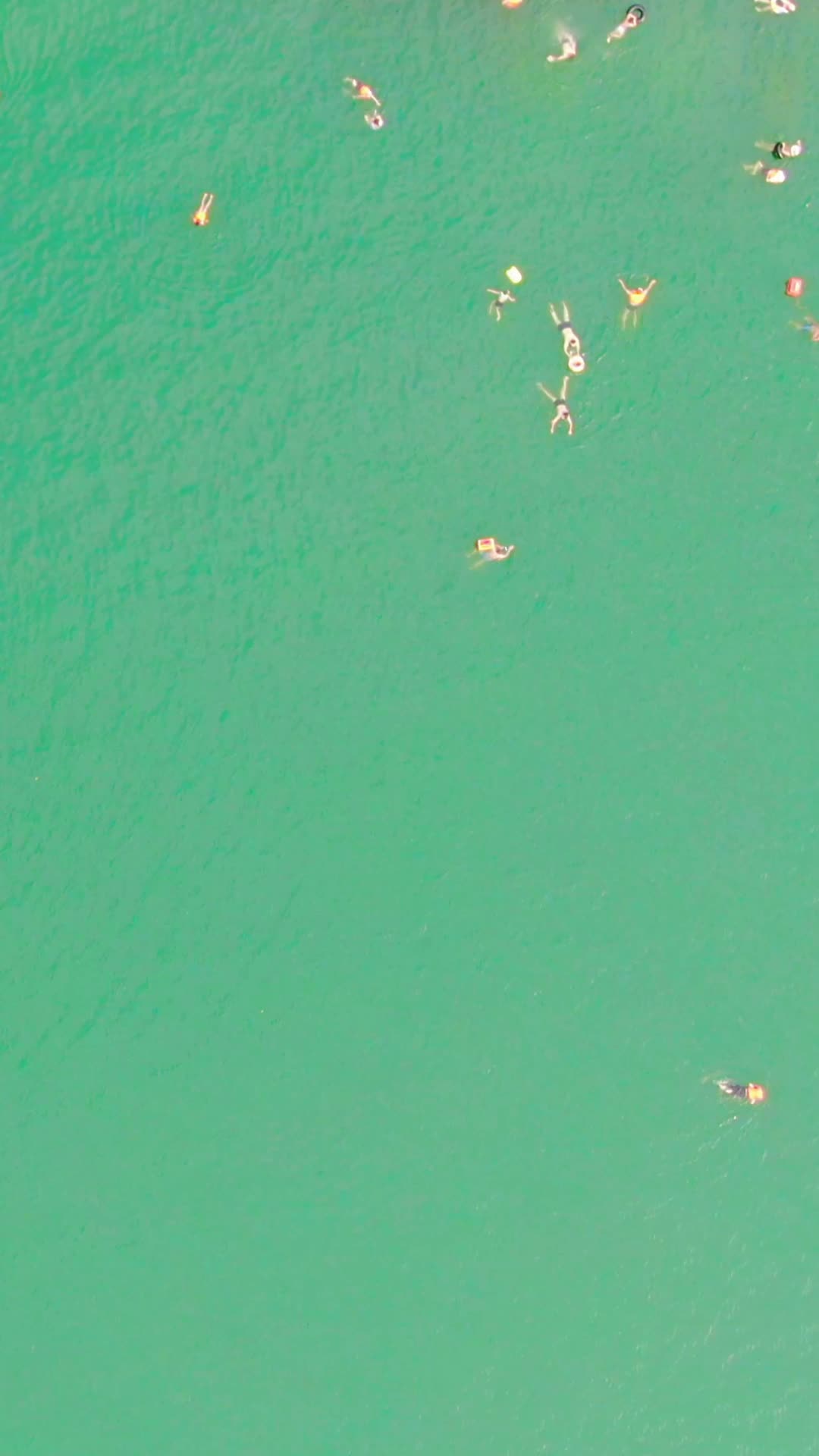河中游泳人群竖屏航拍视频的预览图