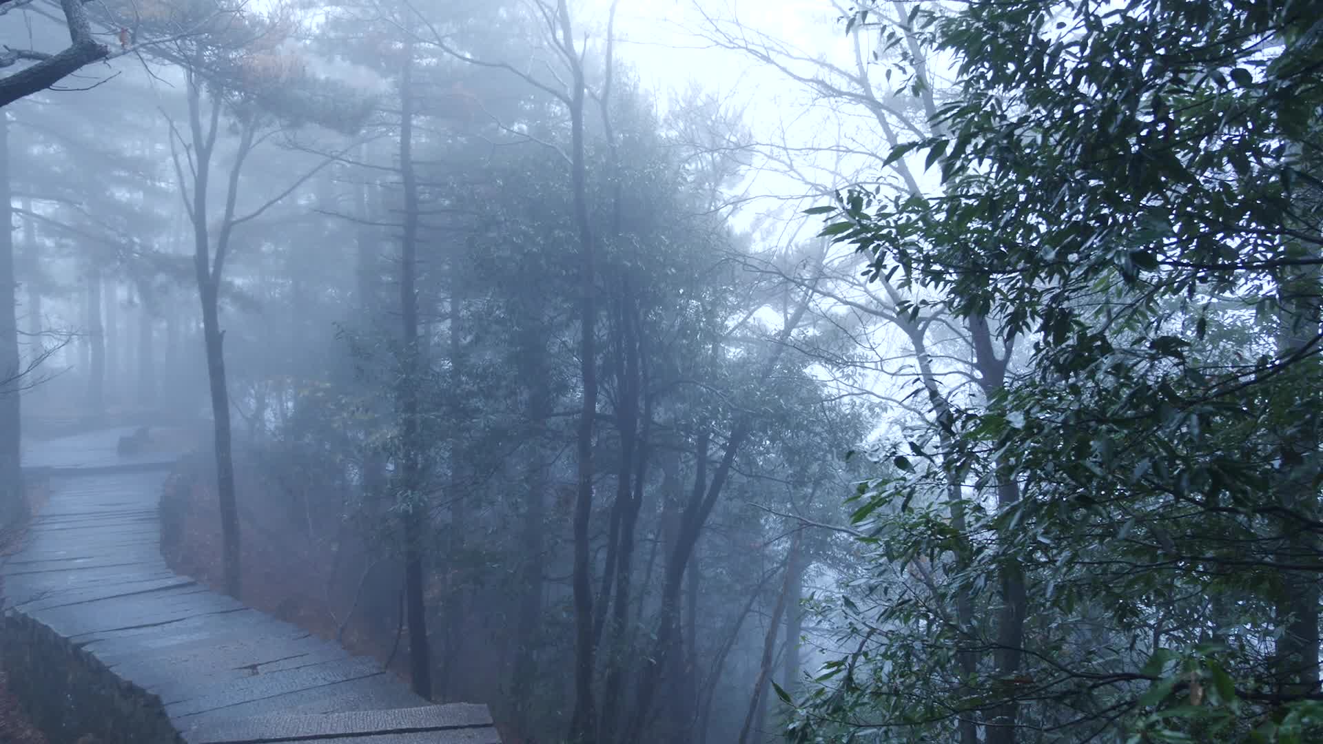 安徽九华山雾天下山的路视频的预览图