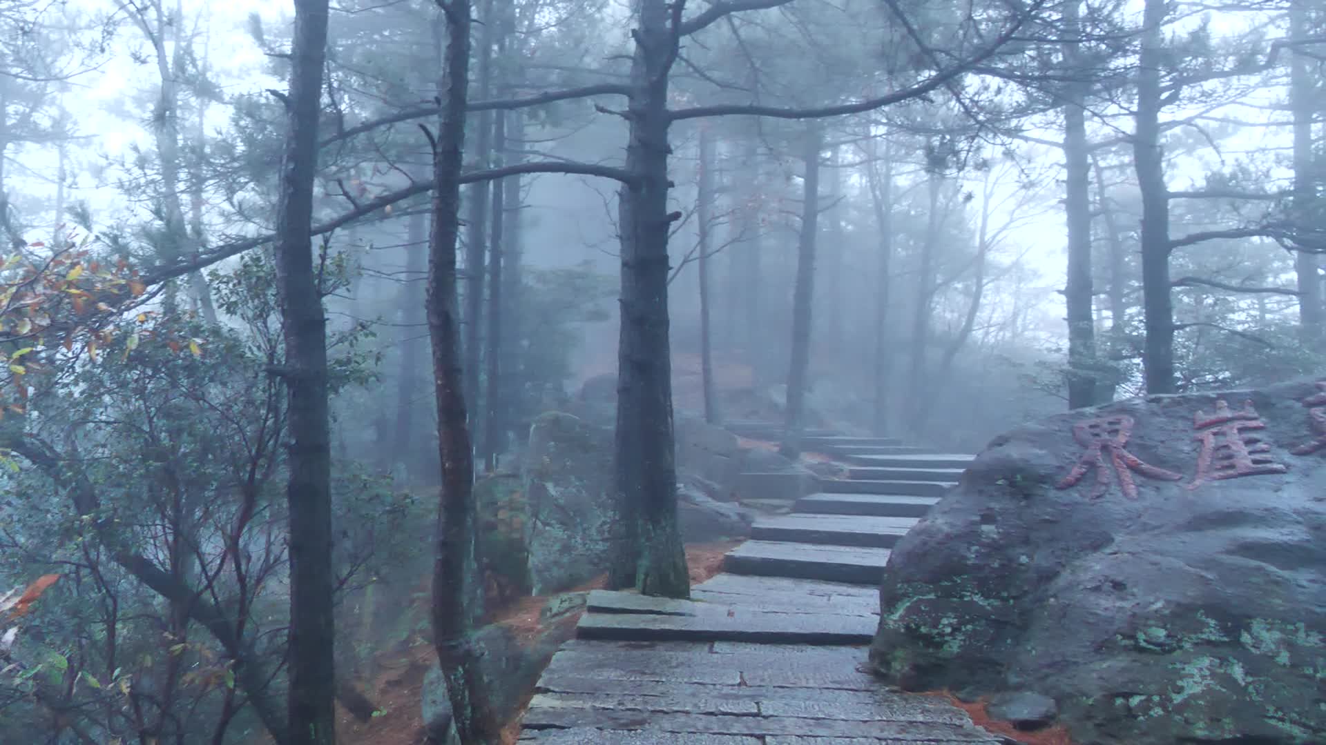 安徽九华山雾天下山的路视频的预览图