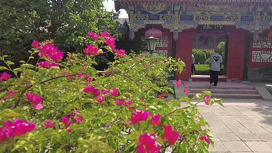 度假区酒店中国传统园林中式建筑度假村旅游度假山庄酒店视频的预览图
