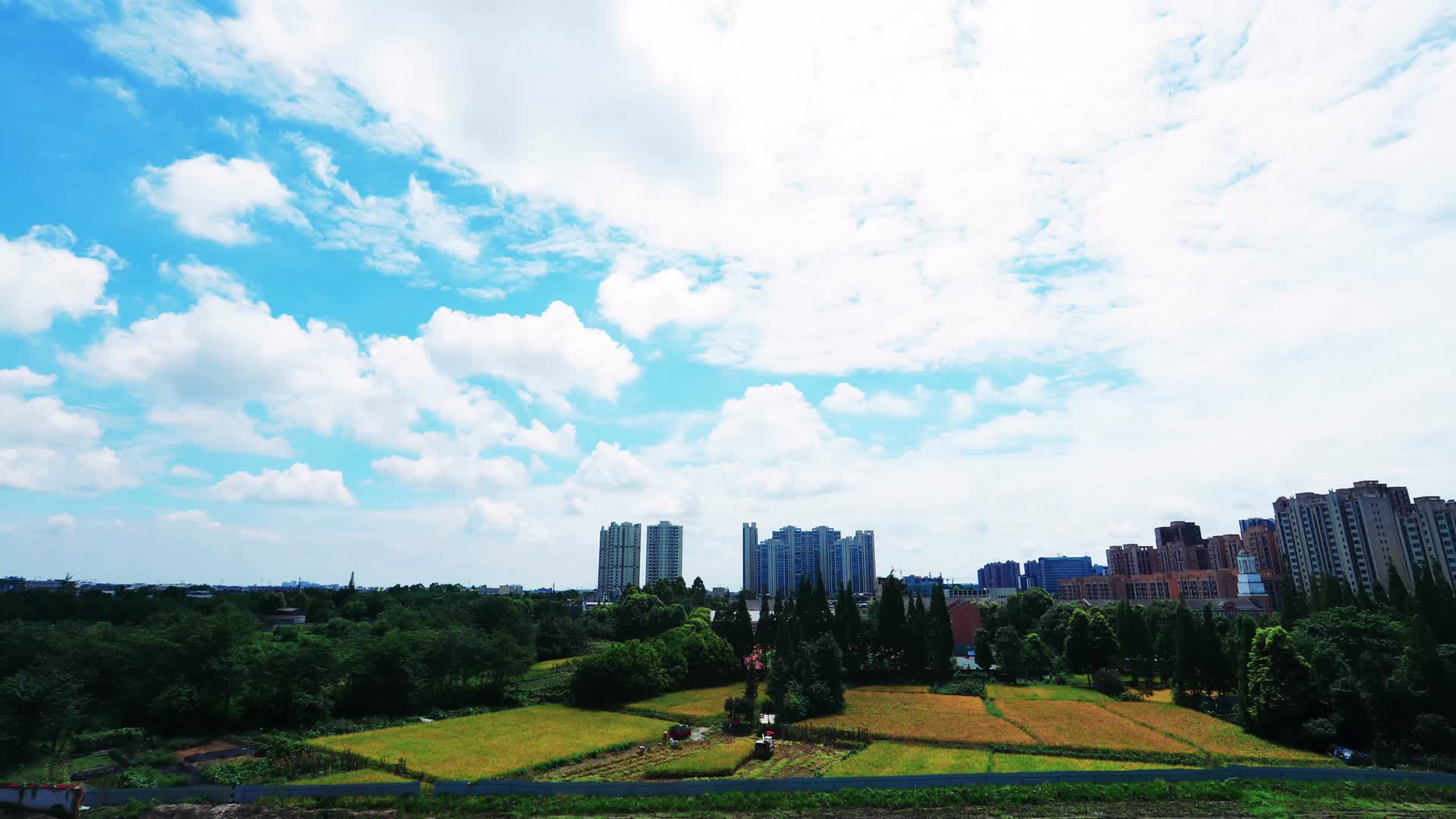 城市里的农田田园农家乐城市风光视频的预览图