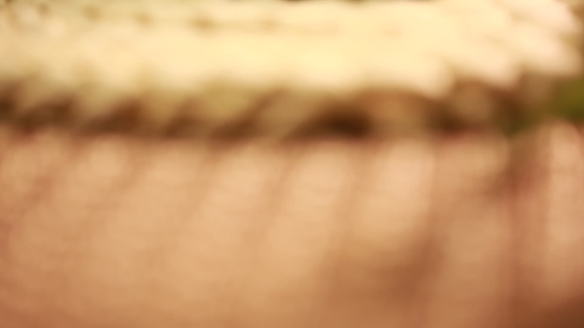 养生黄冰糖实拍视频视频的预览图