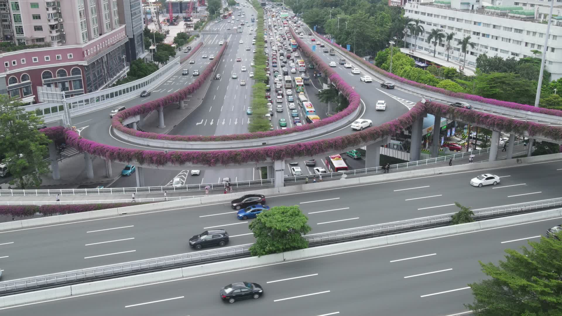航拍广州黄埔立交桥车流交通视频的预览图