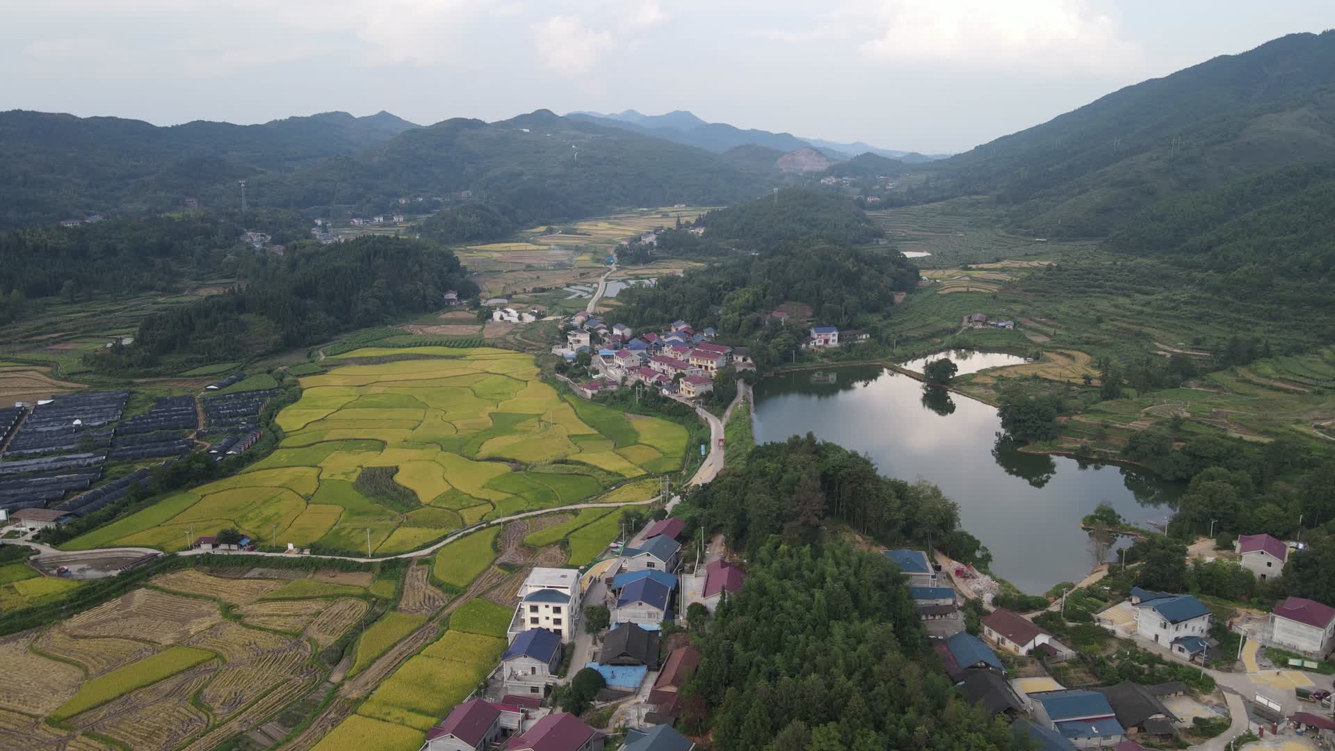 航拍美丽沿河乡村视频的预览图