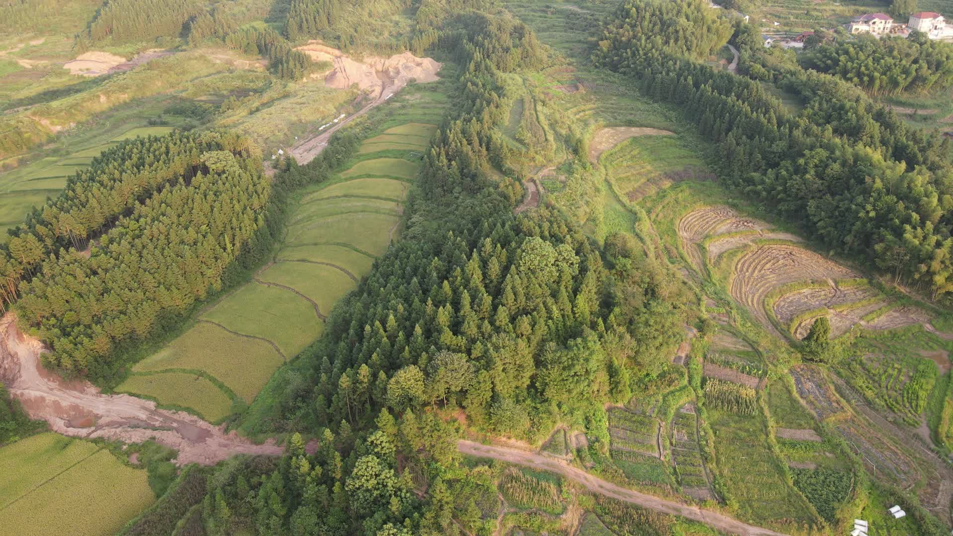 航拍农村稻田保护基地视频的预览图