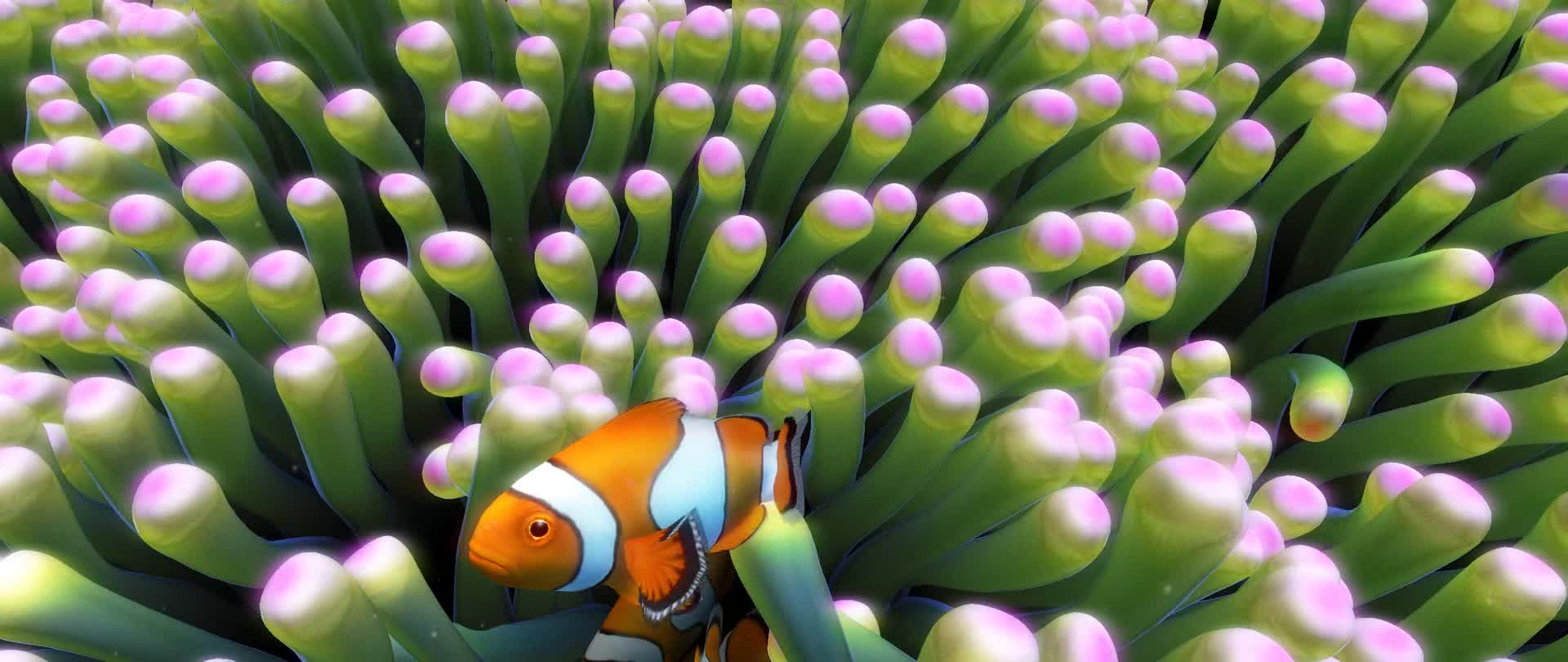 宽屏219小丑鱼动画素材视频的预览图