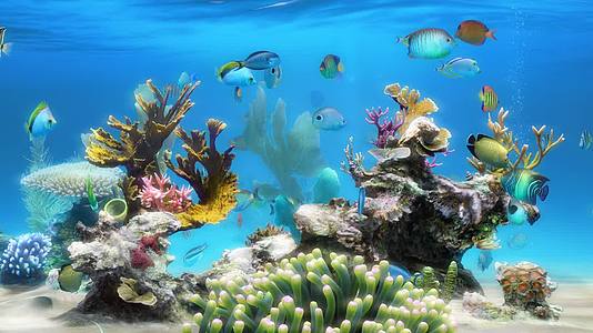 宽屏海底世界豪华版动画素材视频的预览图