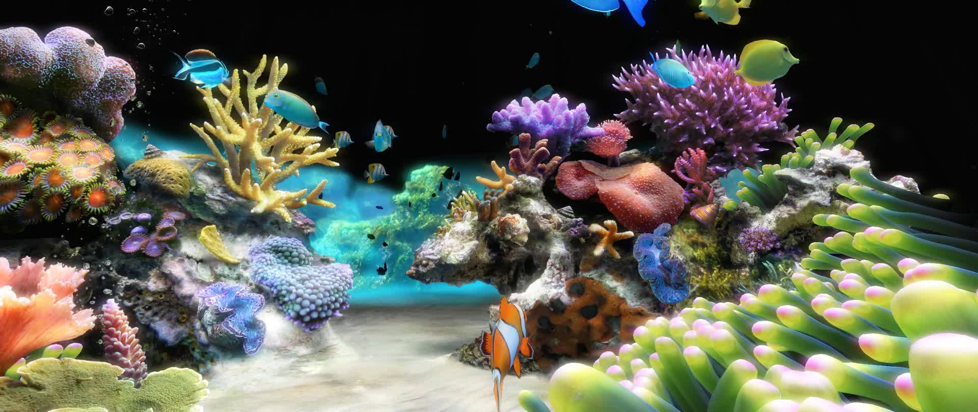 豪华全息海底世界水族馆动画素材视频的预览图
