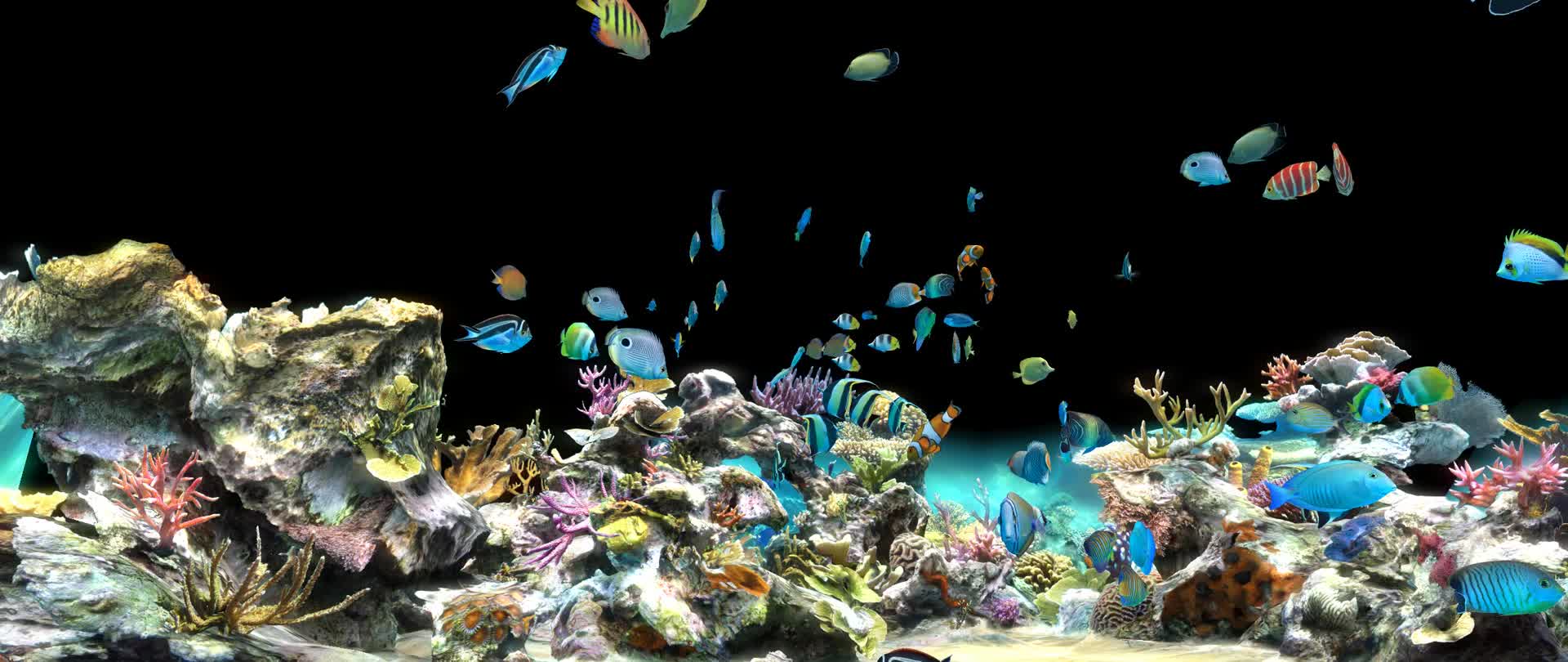 豪华环幕全息海底世界视频的预览图