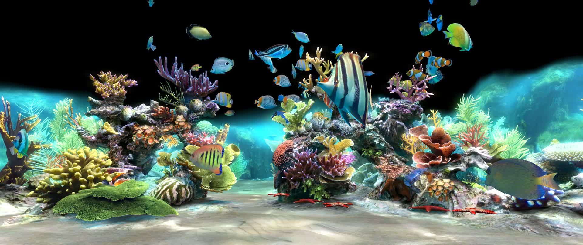 豪华全息海底世界动画素材视频的预览图