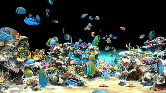 豪华全息海底世界视频的预览图