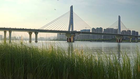 城市夕阳下的江水大桥视频的预览图