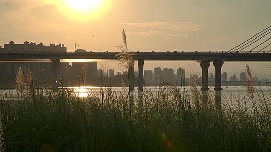 城市夕阳下的江水大桥视频的预览图