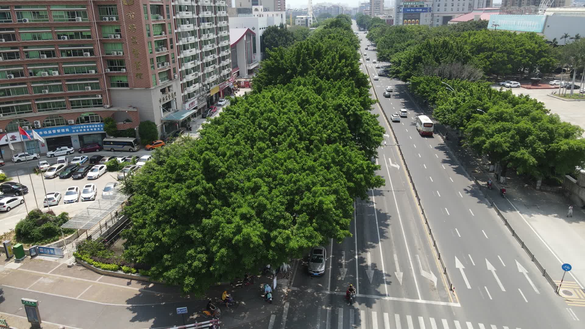 城市绿化大道交通航拍视频视频的预览图