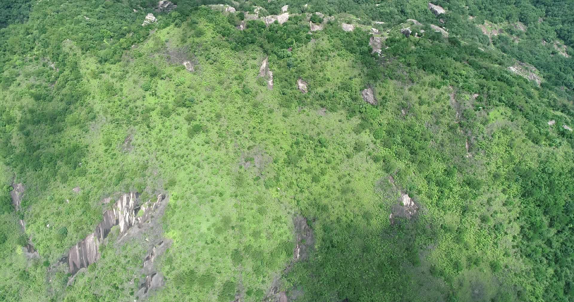 山脉山川山谷大自然森林绿色植物环保视频的预览图