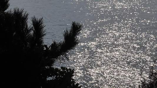 浙江普陀山波光粼粼的海面视频的预览图