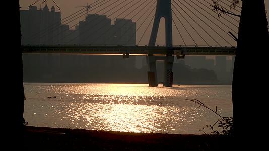 夕阳下的江水大桥和游水的人视频的预览图