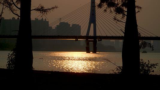 夕阳下的江水大桥和游水的人视频的预览图