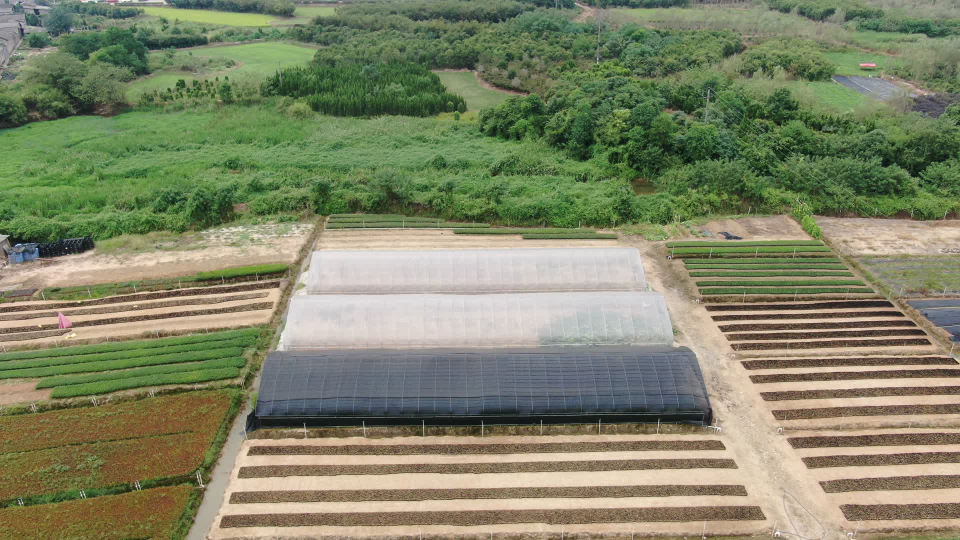 4K航拍农业种植基地大棚视频的预览图