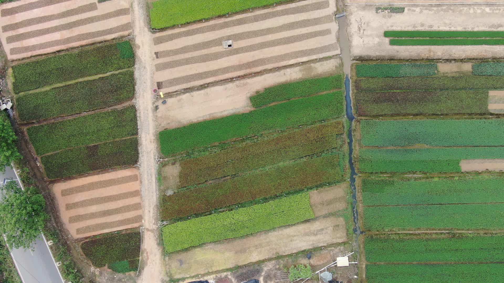 4K航拍农业种植花卉苗圃种植基地视频的预览图