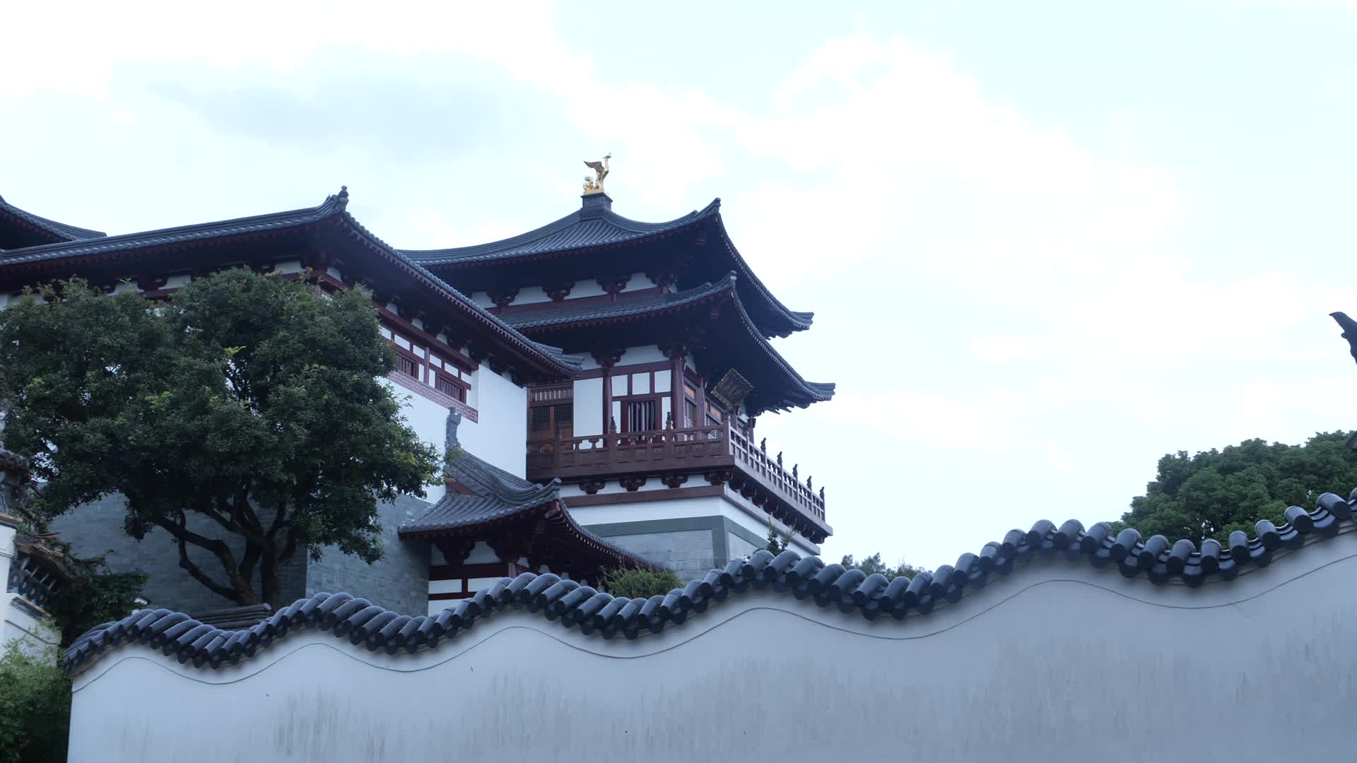 浙江普陀山普陀山普济寺景点视频的预览图
