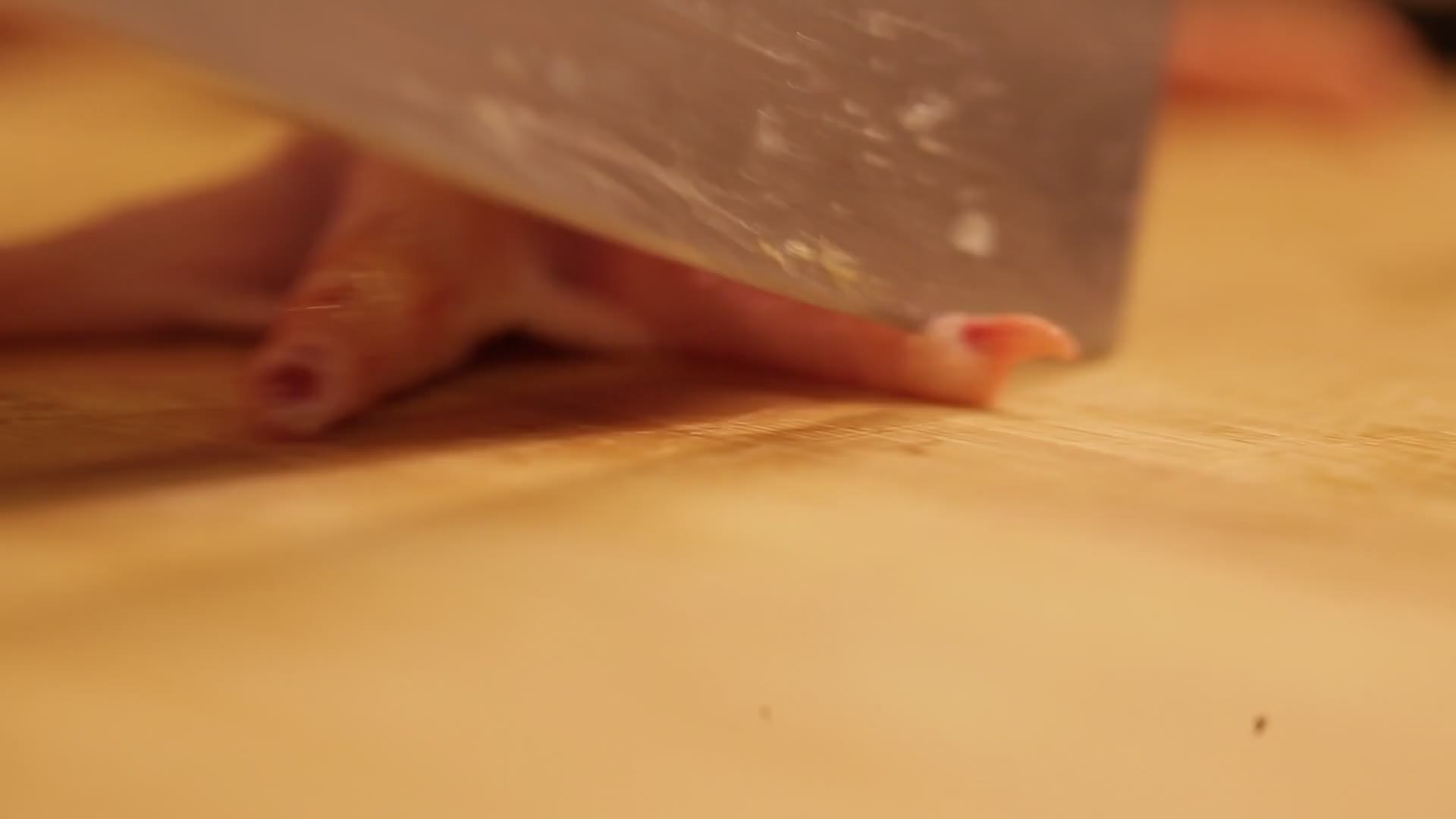 厨师处理鸡爪子视频的预览图