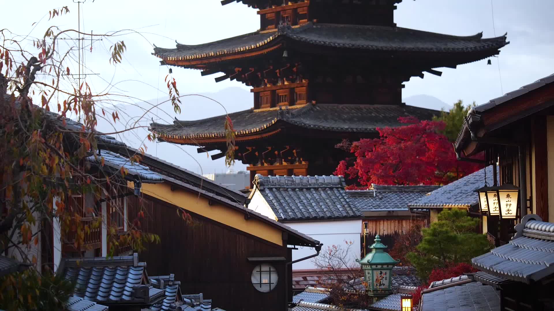 日本京都下午风景视频的预览图
