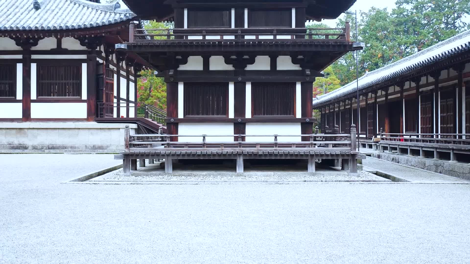 日本京都金福寺风景视频的预览图