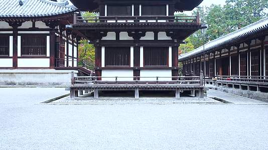 日本京都金福寺风景视频的预览图