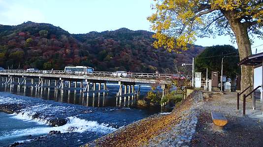 日本岚山海边景点视频的预览图