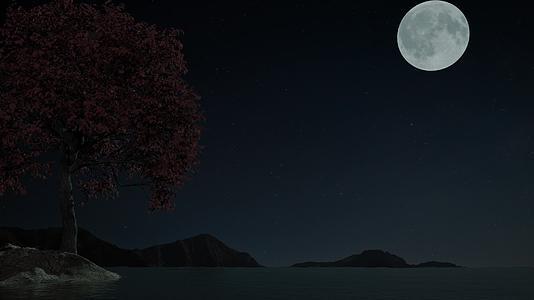 3D中秋夜景圆月山水秋风红叶视频的预览图