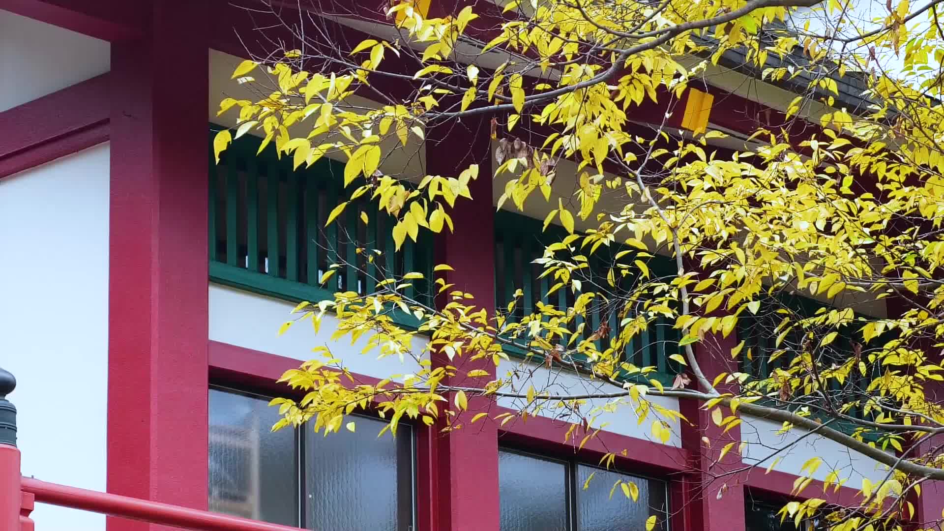 日本奈良风景视频的预览图