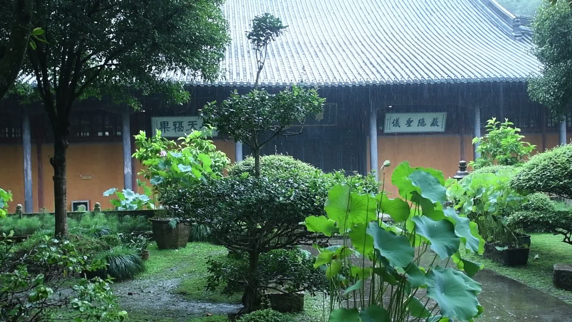 浙江天台山千年古刹国清寺下雨天风景视频的预览图