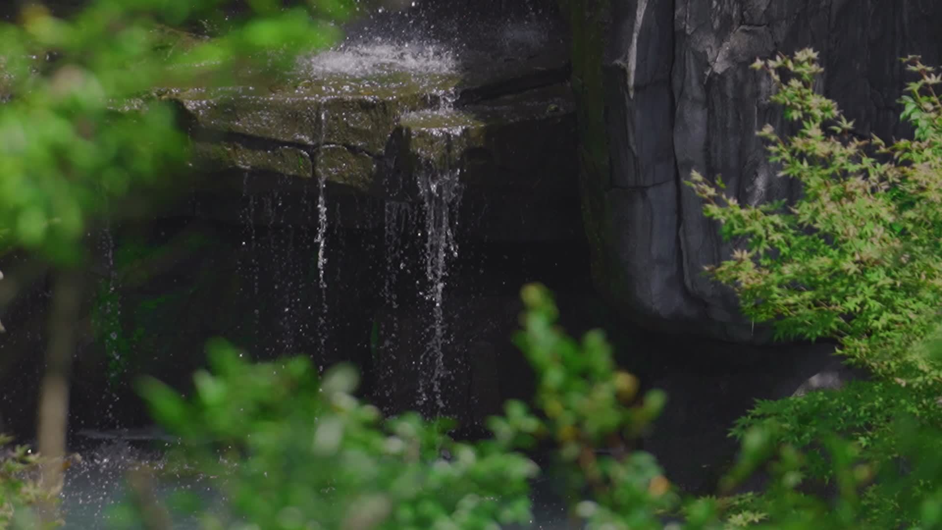 瀑布泉水4k超清视频视频的预览图
