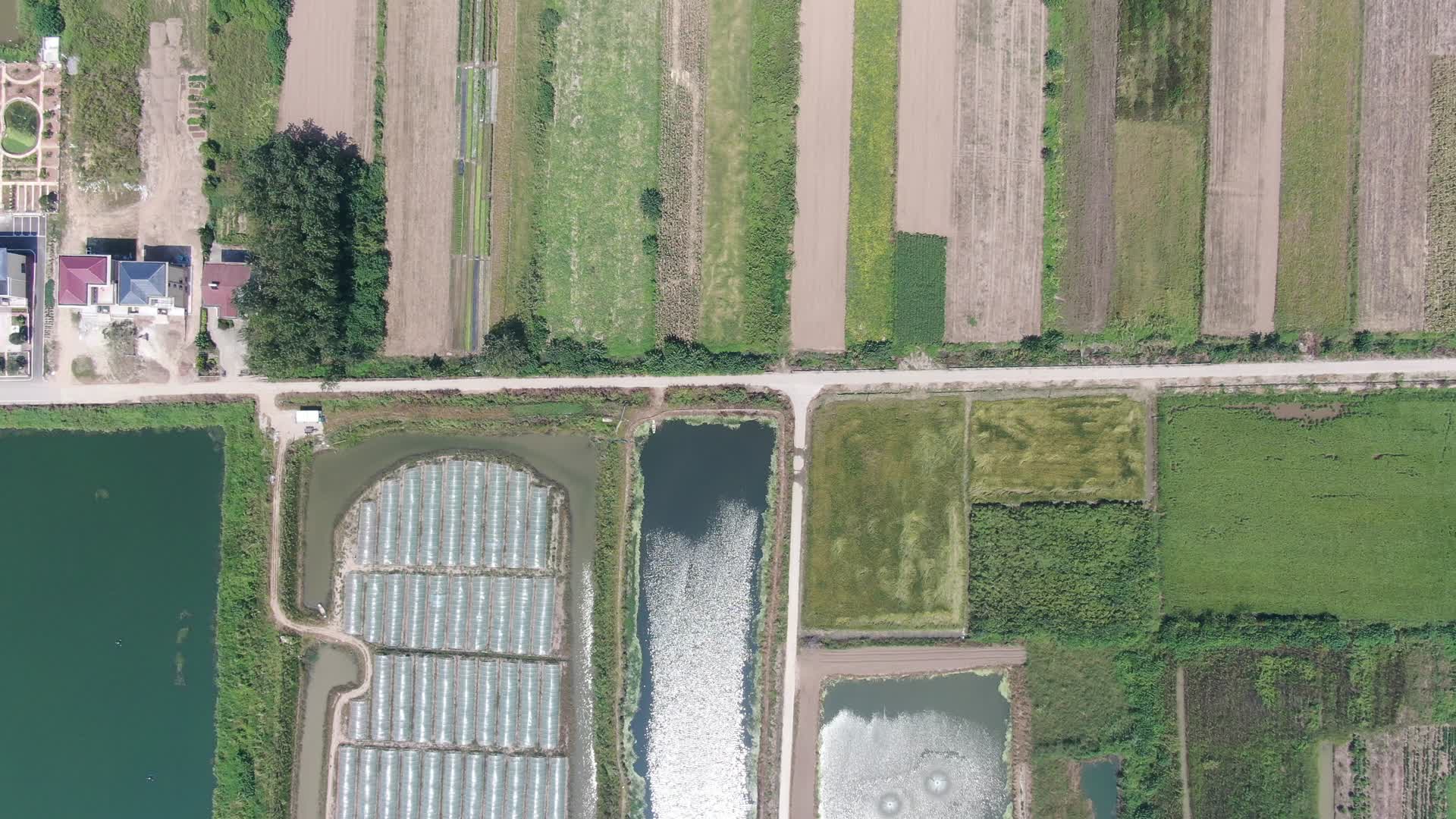 俯拍湖南岳阳洞庭湖鱼米之乡农业种植基地视频的预览图