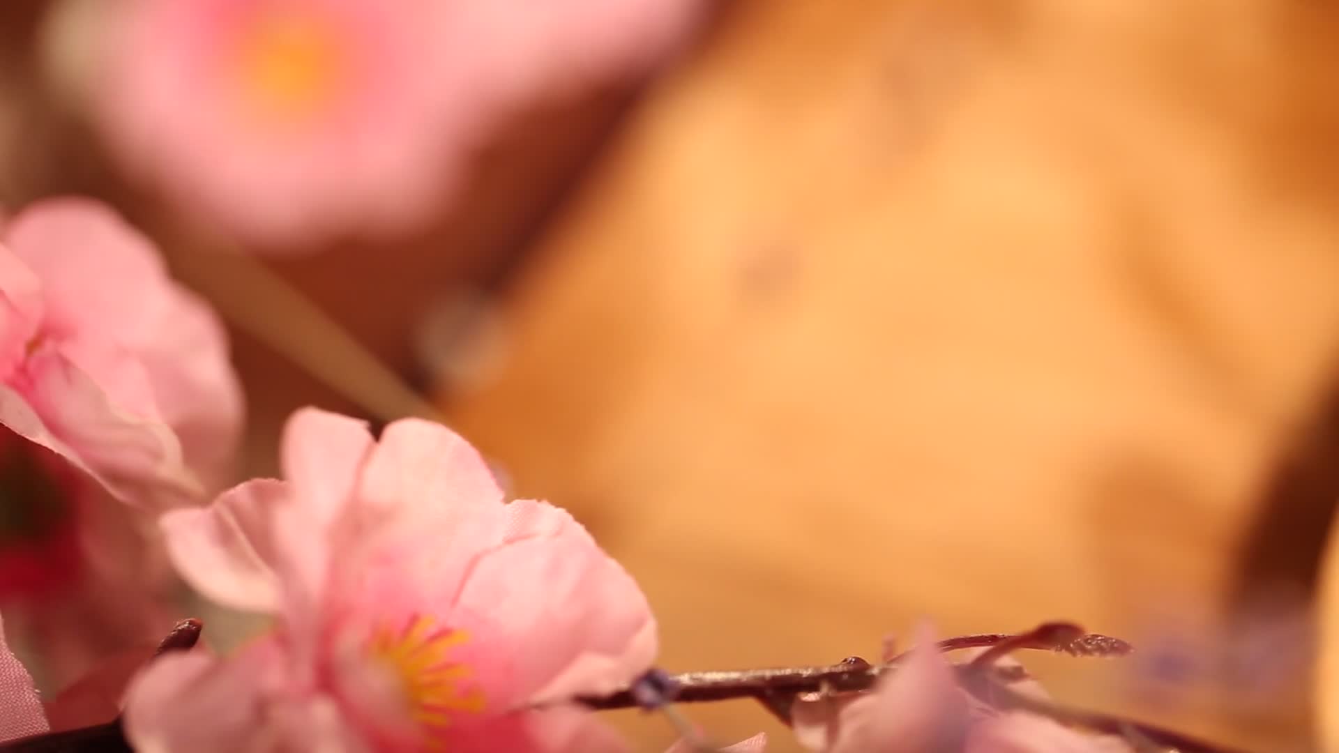 泡发香菇花菇视频的预览图