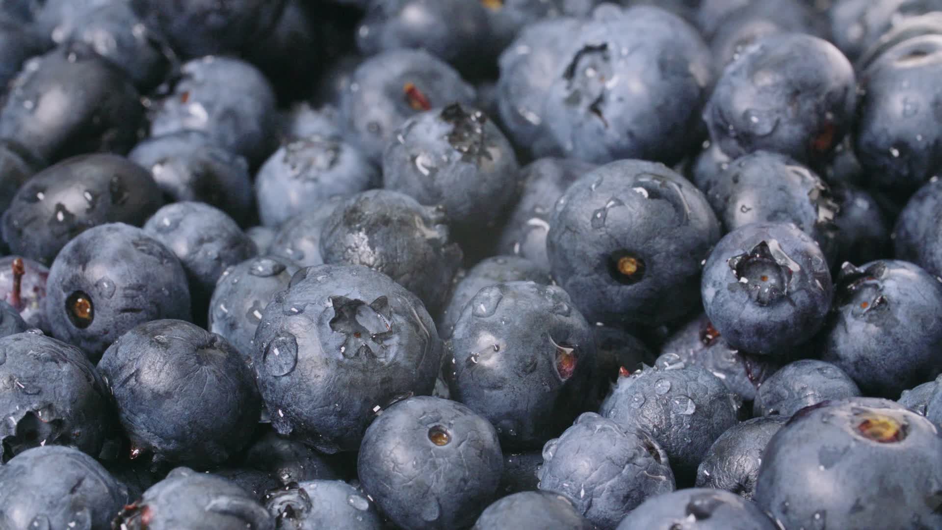 蓝莓实拍高清视频的预览图