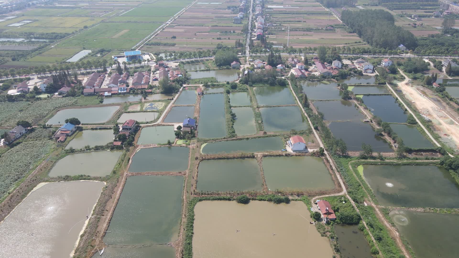 航拍湖南岳阳洞庭湖鱼米之乡农业种植基地视频的预览图