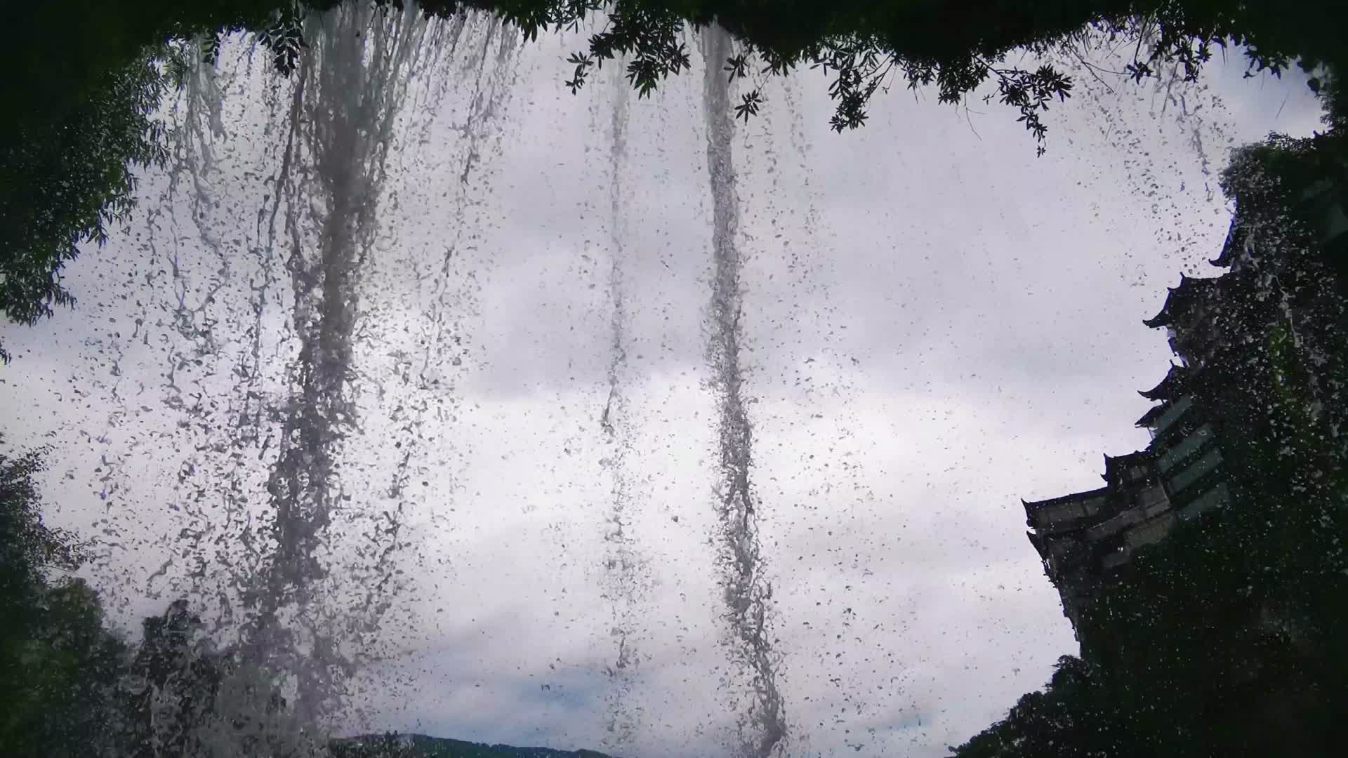 4K实拍悬崖藤蔓流水视频的预览图