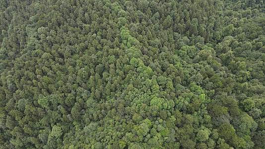 湖南中坡山国家森林公园航拍视频的预览图