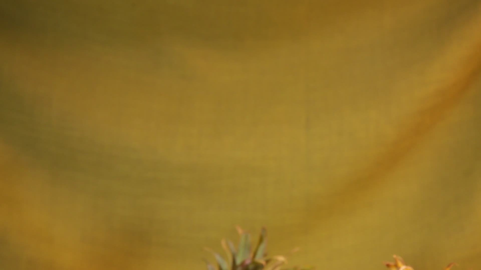菠萝切块菠萝果肉视频的预览图