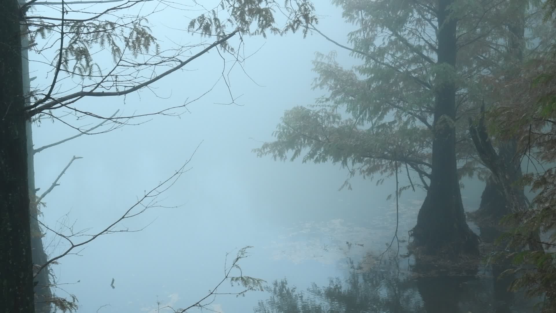 浙江天台千年古刹华顶寺雾天视频的预览图