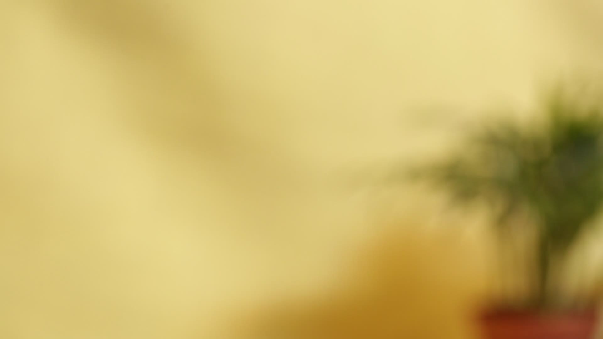 花式切菠萝果盘视频的预览图
