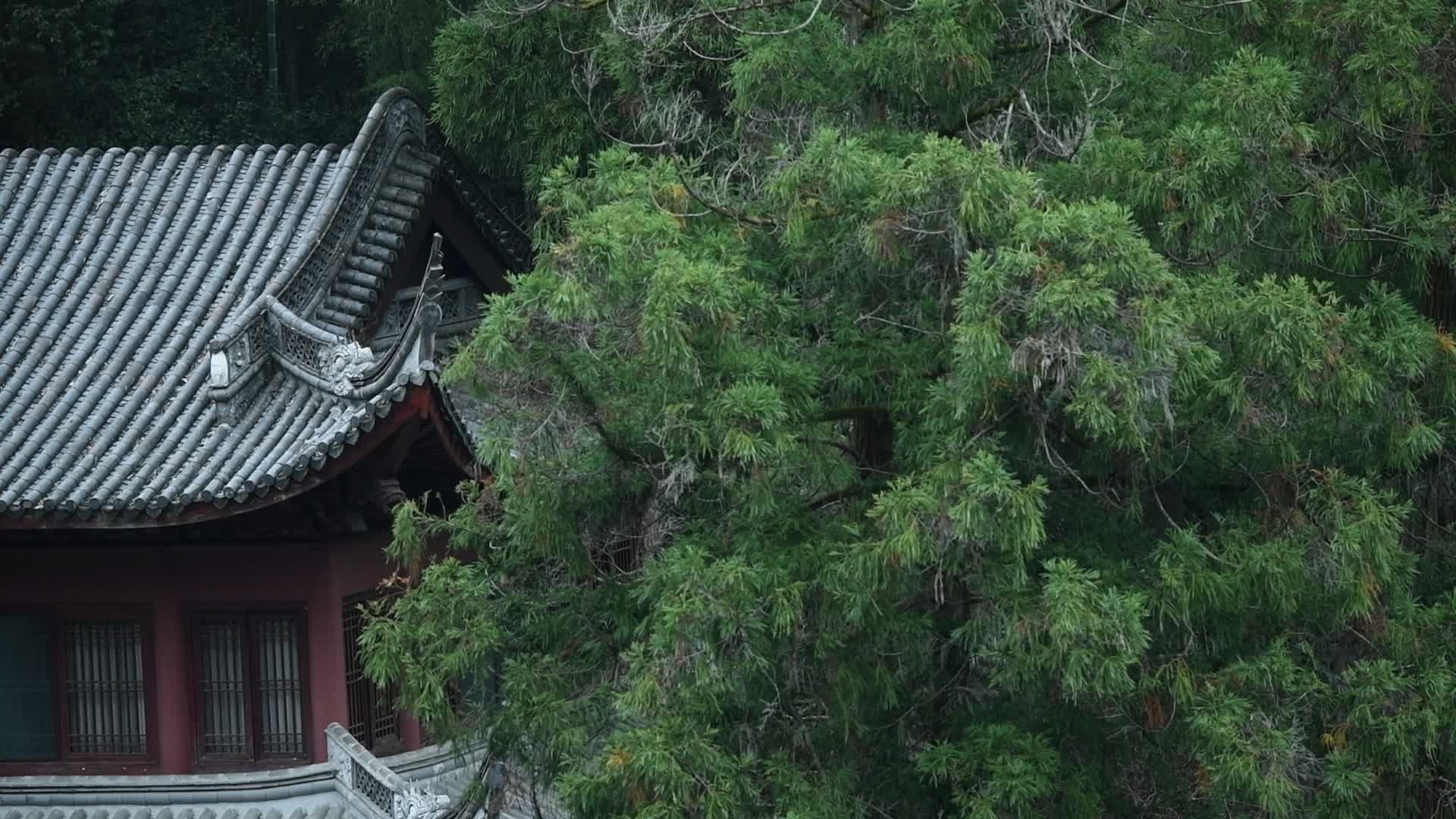 浙江天台石梁飞瀑古方广寺风景视频的预览图