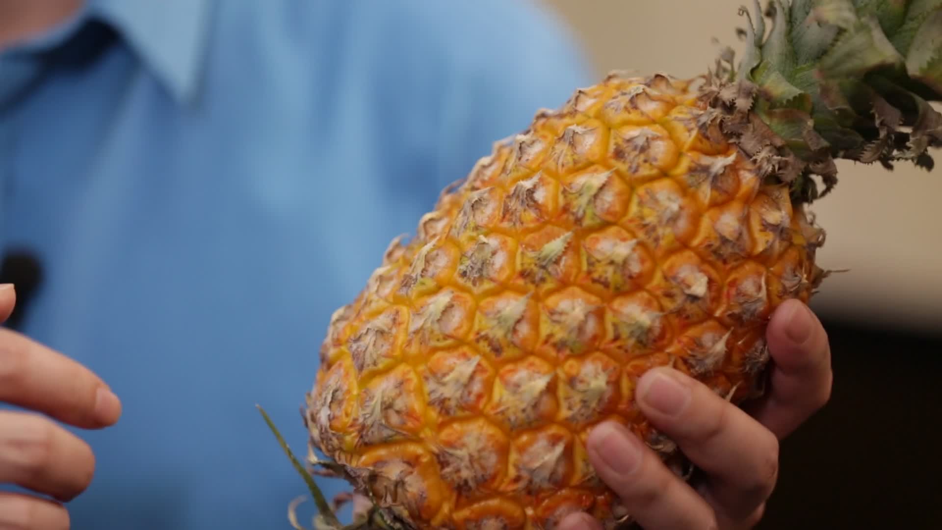 手里拿着菠萝视频的预览图