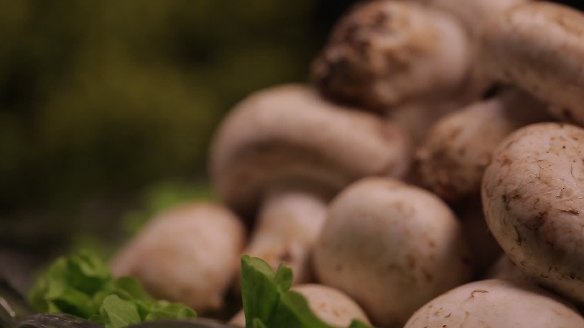 白蘑菇口蘑视频的预览图