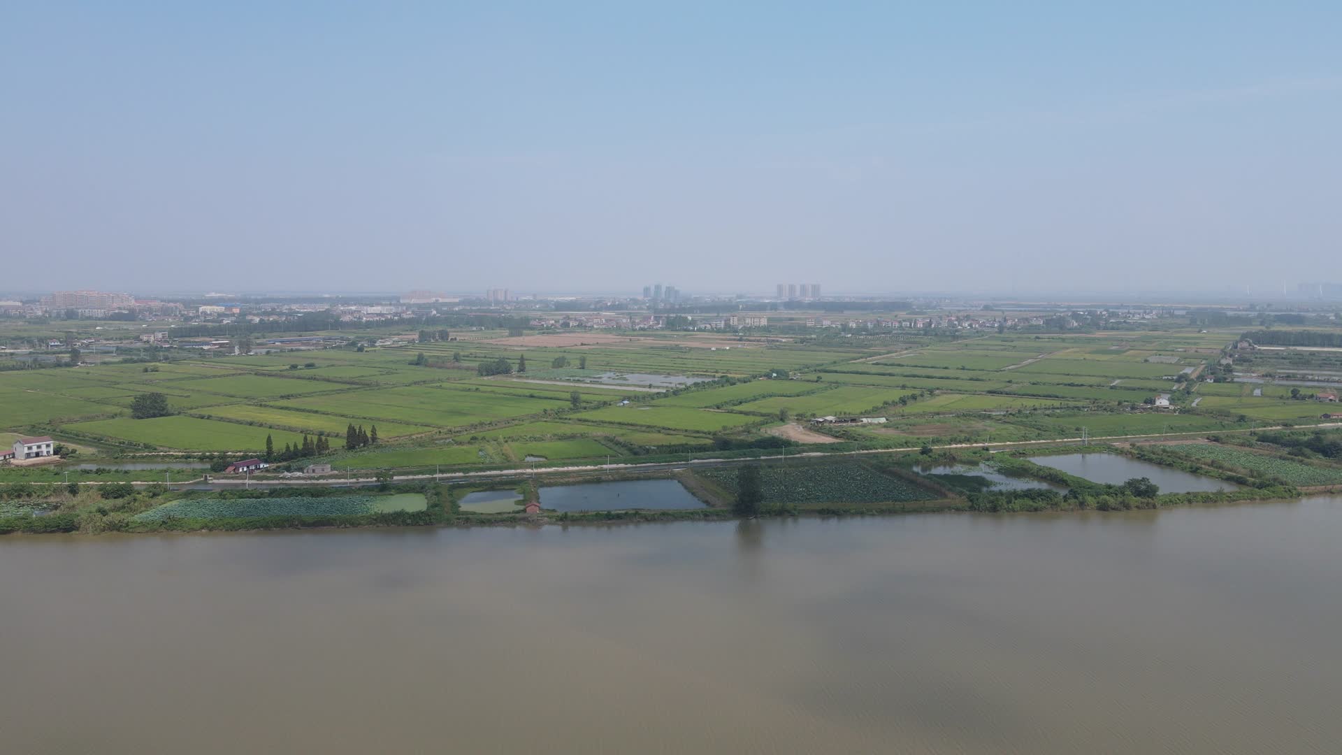4K航拍湖南洞庭湖边上的稻田视频的预览图