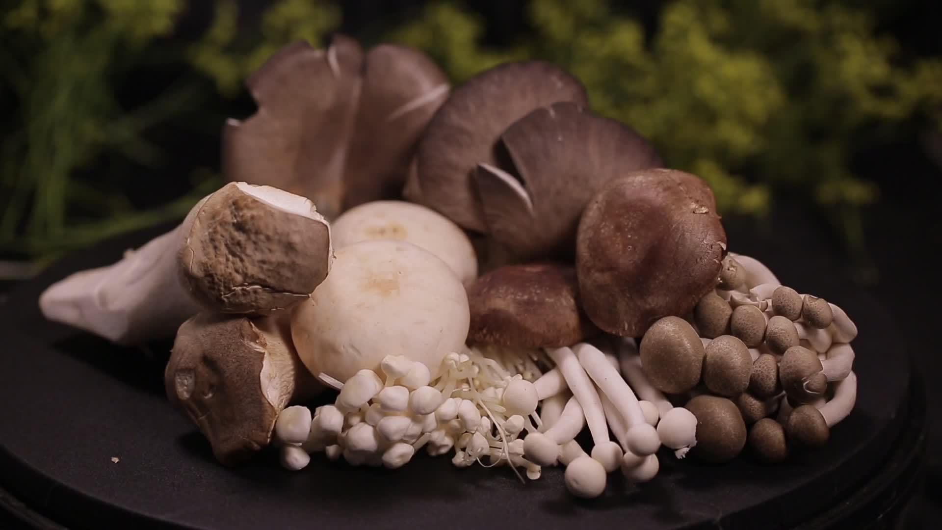 火锅菌类蘑菇拼盘视频的预览图